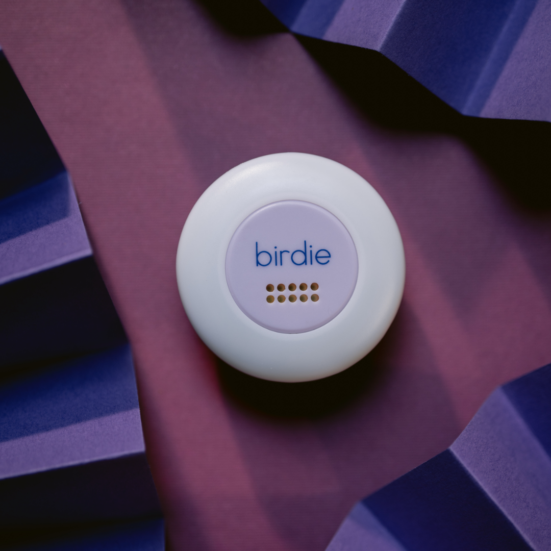 Birdie Disc