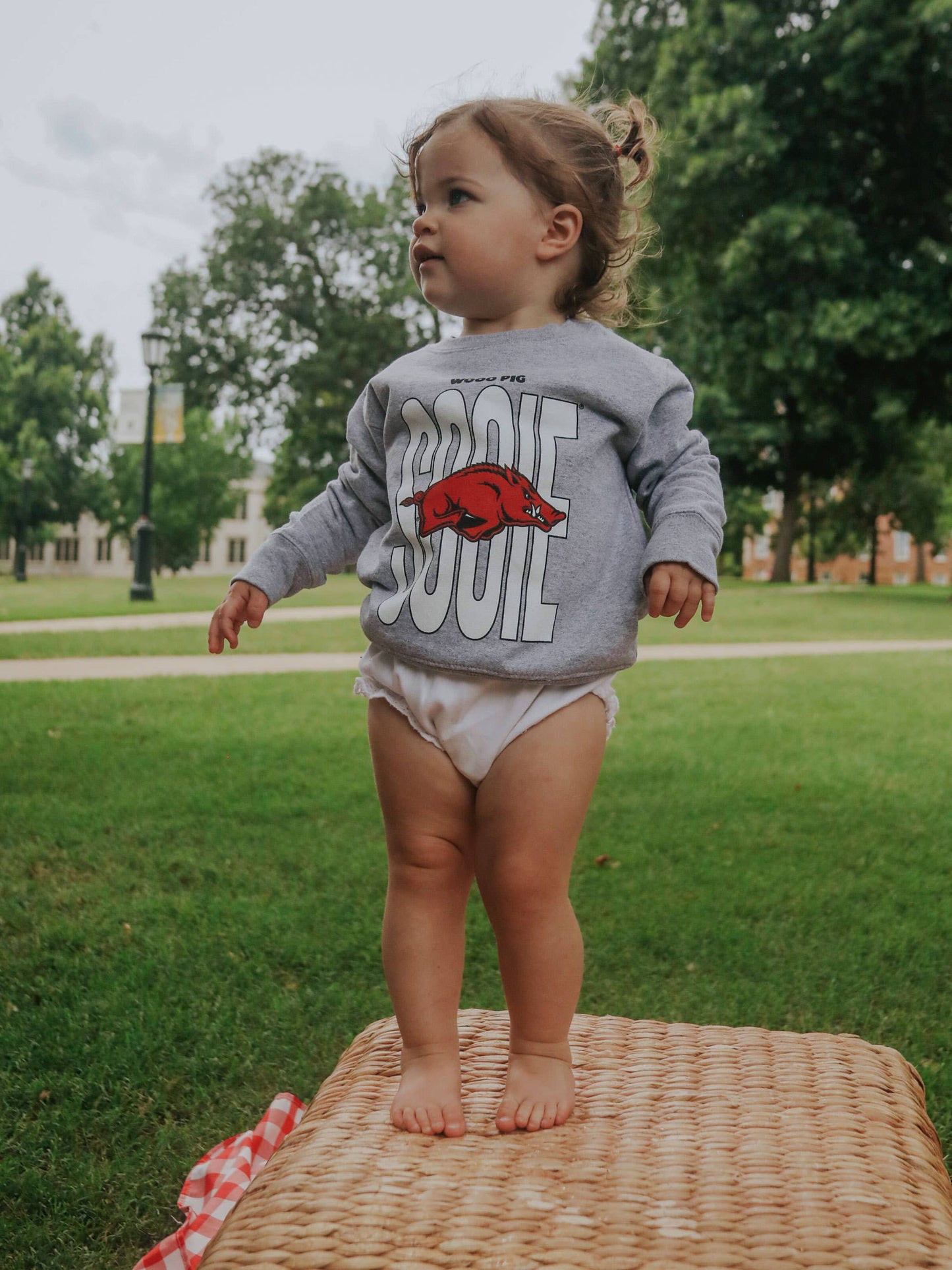 Woo Pig Sooie Toddler Sweatshirt