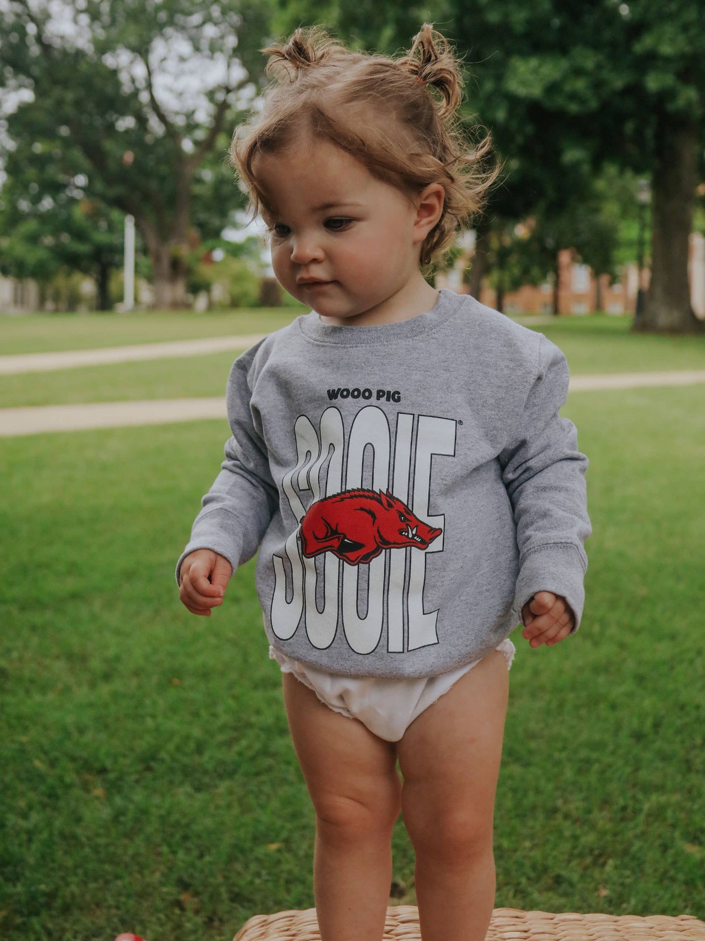 Woo Pig Sooie Toddler Sweatshirt